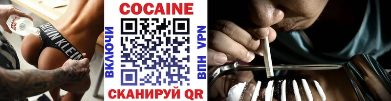 omg ТОР  Снежногорск  COCAIN Fish Scale  цена наркотик 