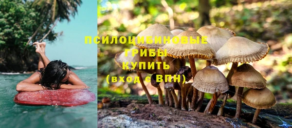 каннабис Арсеньев