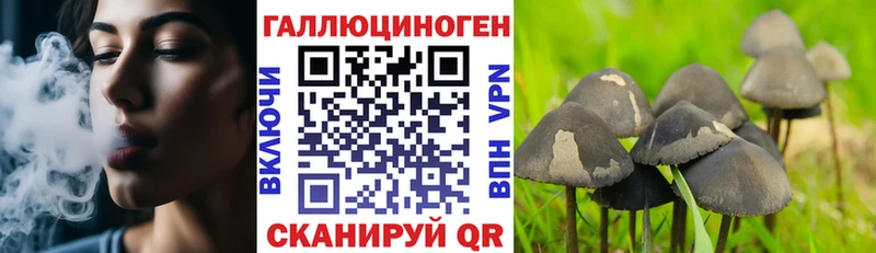 магазин продажи   Снежногорск  Галлюциногенные грибы мухоморы 